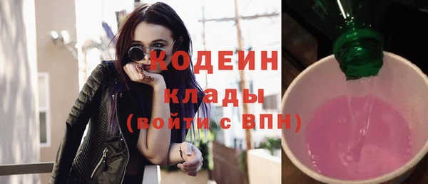 мдпв Дмитриев