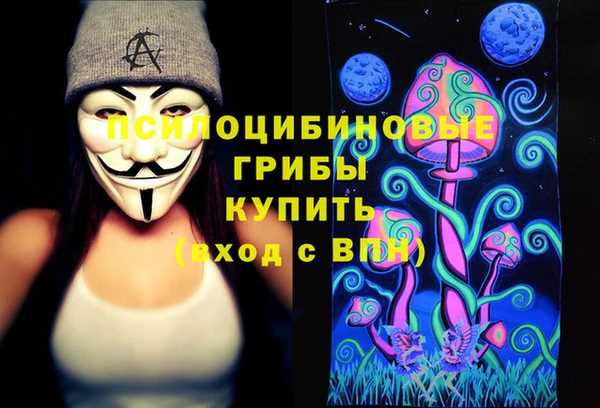 дурь Гусев