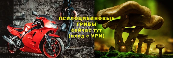 мяу мяу кристалл Гусиноозёрск