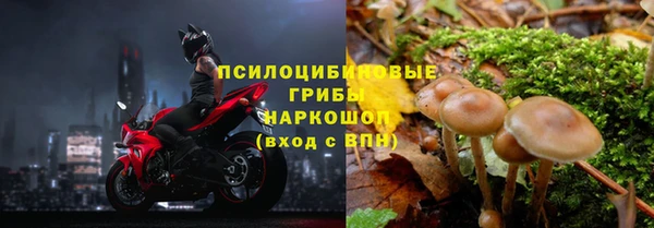 гидра Дмитров