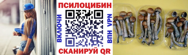 Купить где  Кириши  Псилоцибиновые грибы прущие грибы 
