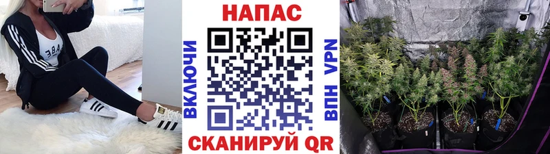 Купить где  Кириши  Марихуана AK-47 