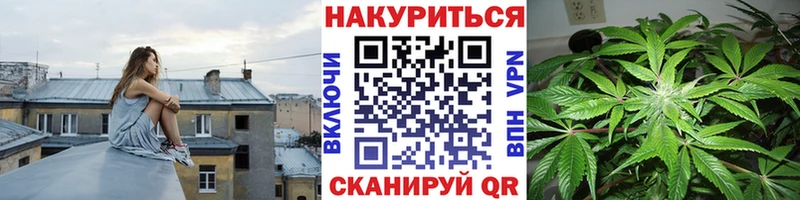 Бошки марихуана сатива Кириши